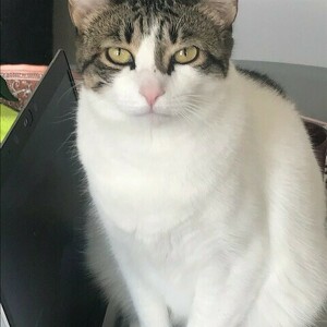 Fundraising Page: Bridget Bonning